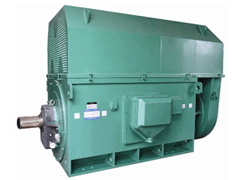 YR400-8Y系列6KV高压电机